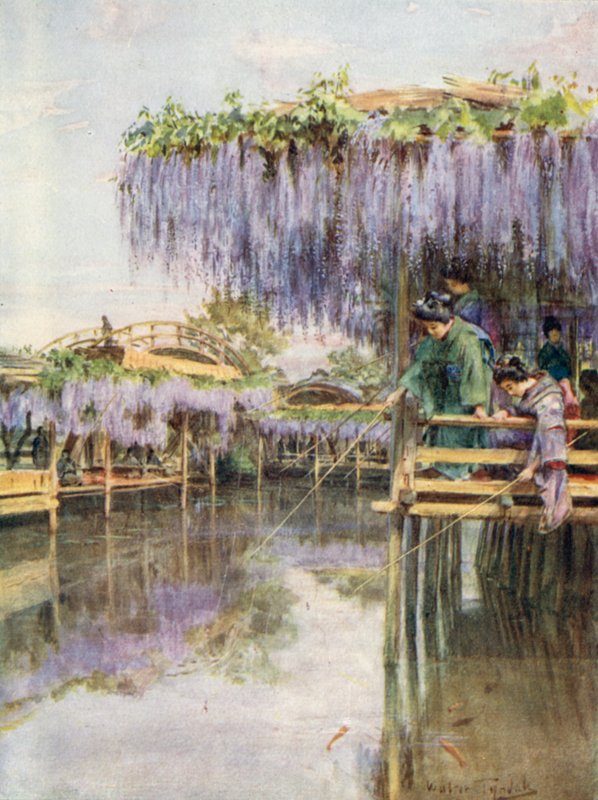 Wistaria ved Kameido av Walter Frederick Roofe Tyndale