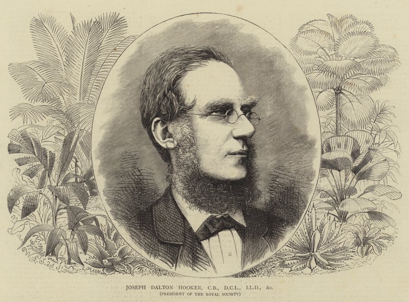 Joseph Dalton Hooker, CB, DCL, LLD, etc av Walter Granville Smith