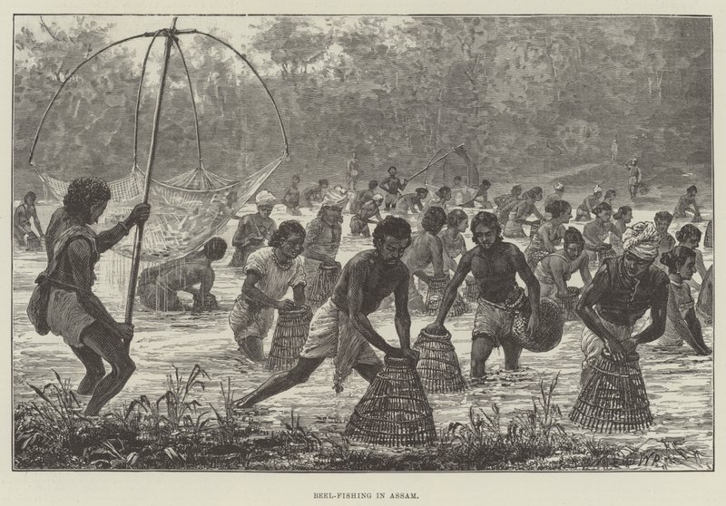 Beel-Fishing i Assam av Walter Paget