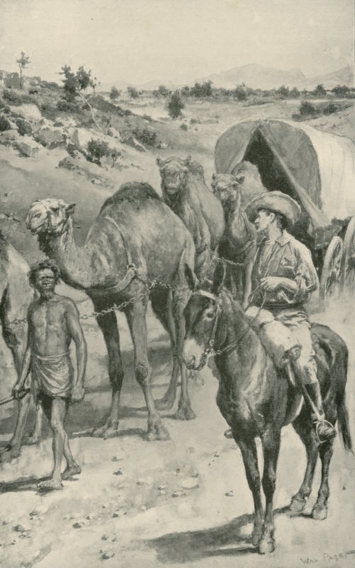 En Camel-Caravan, Vest-Australia av Walter Stanley Paget