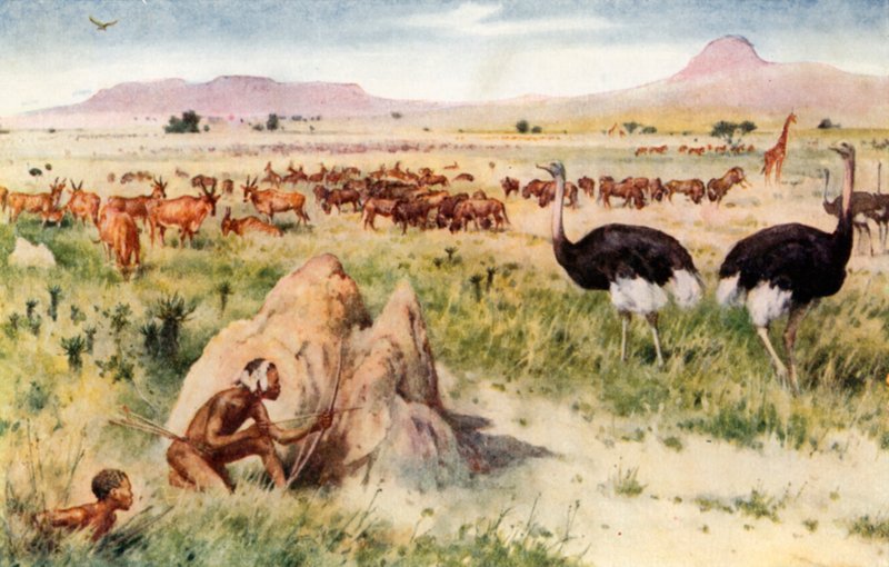 A South African Plain: Before the Coming of the White Man av Walter Stanley Paget