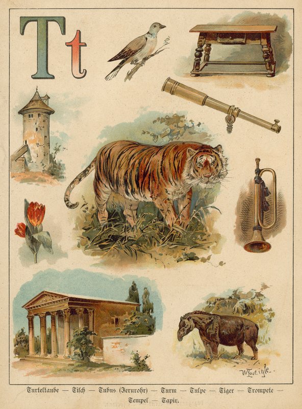 Bokstaven T (chromolitho) av Walter Zweigle