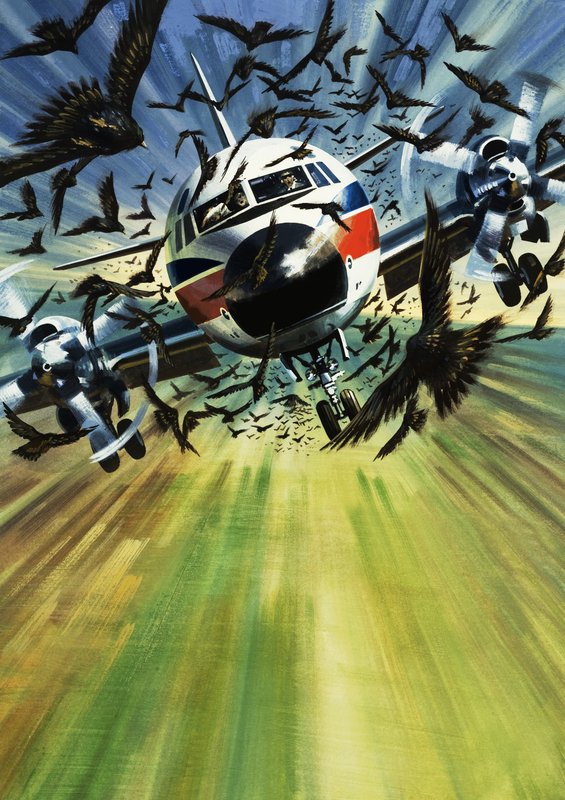  av Wilf (20th century) Hardy