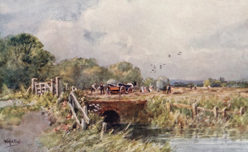  av Wilfrid Williams Ball