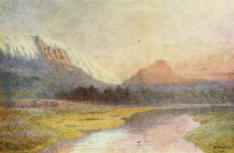  av Wilhelm Westhofen