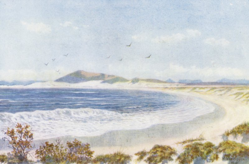  av Wilhelm Westhofen