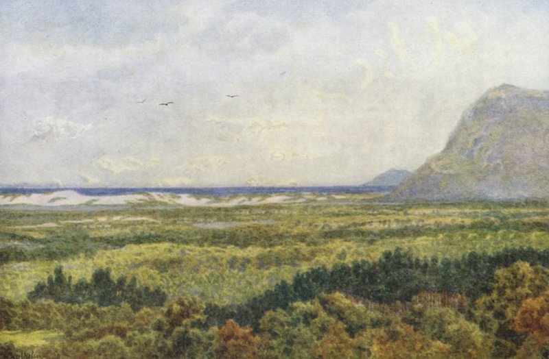  av Wilhelm Westhofen