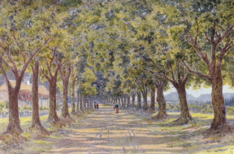  av Wilhelm Westhofen