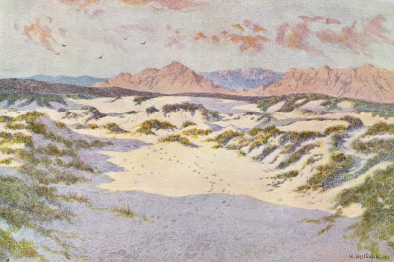  av Wilhelm Westhofen