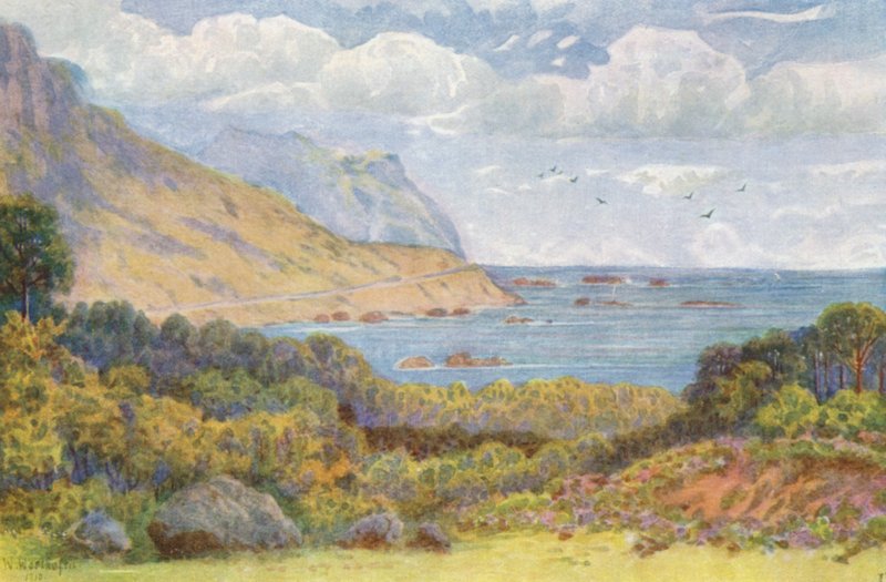  av Wilhelm Westhofen