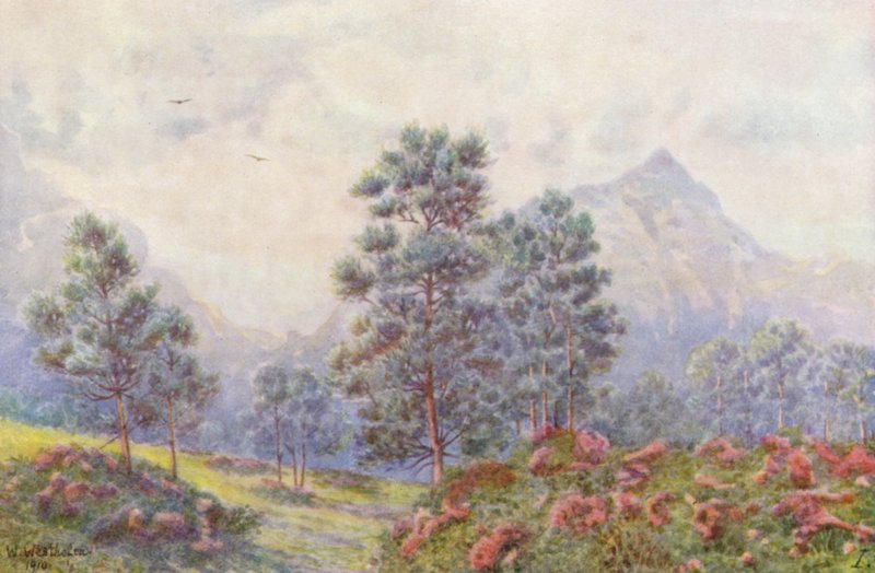  av Wilhelm Westhofen