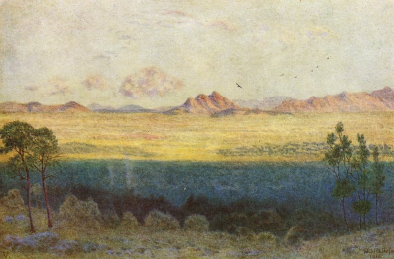 av Wilhelm Westhofen