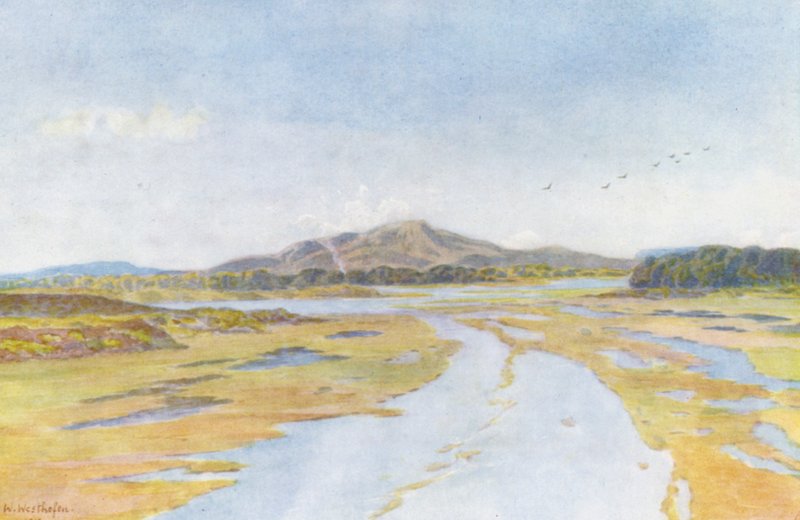  av Wilhelm Westhofen