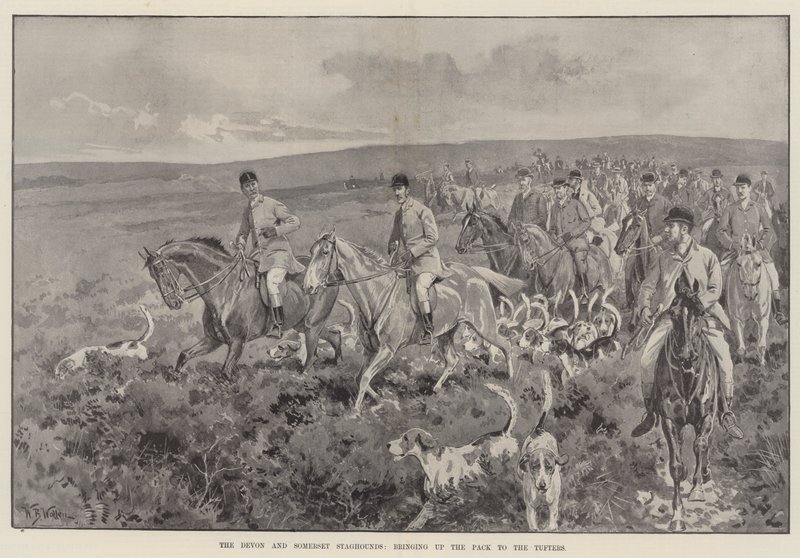 Devon og Somerset Staghounds, og tar opp flokken til Tufters av William Barnes Wollen