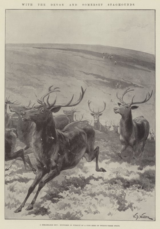 Med Devon og Somerset Staghounds av William Barnes Wollen