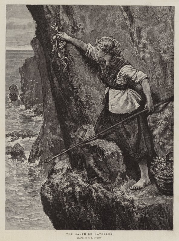 Samphire-samleren av William Bazett Murray