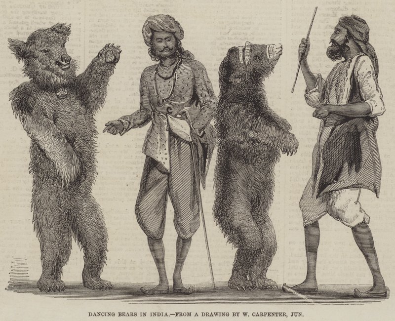 Dansende bjørner i India av William Carpenter
