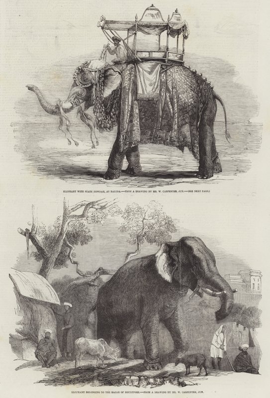 Indiske elefanter av William Carpenter