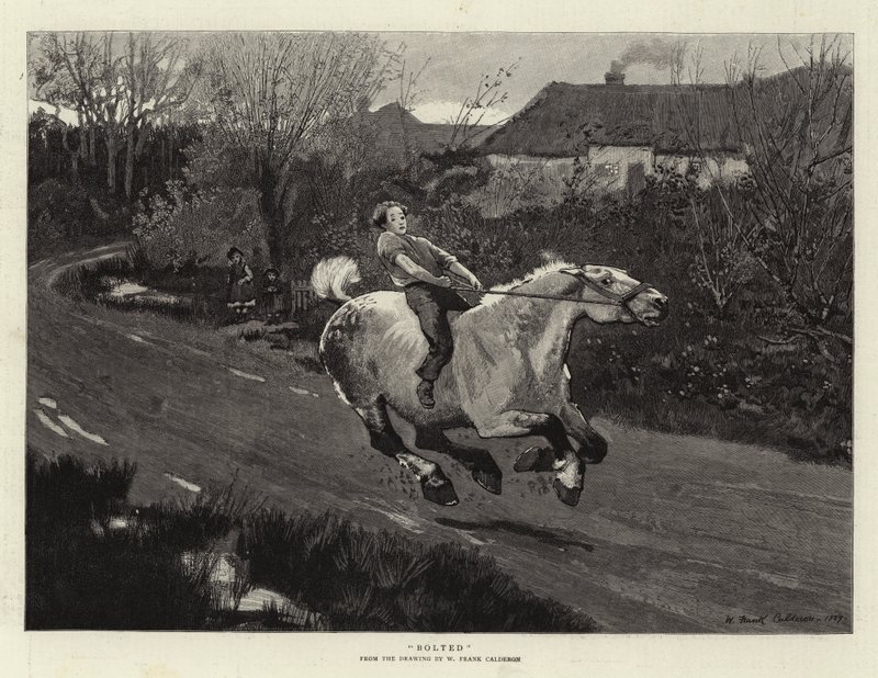 Boltet av William Frank Calderon
