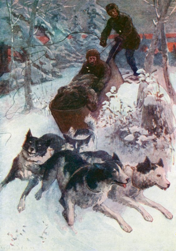 Hundekariole på reise av William Henry Charles Groome