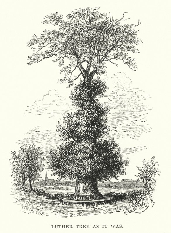 Luther Tree som det var av William Henry James after Boot