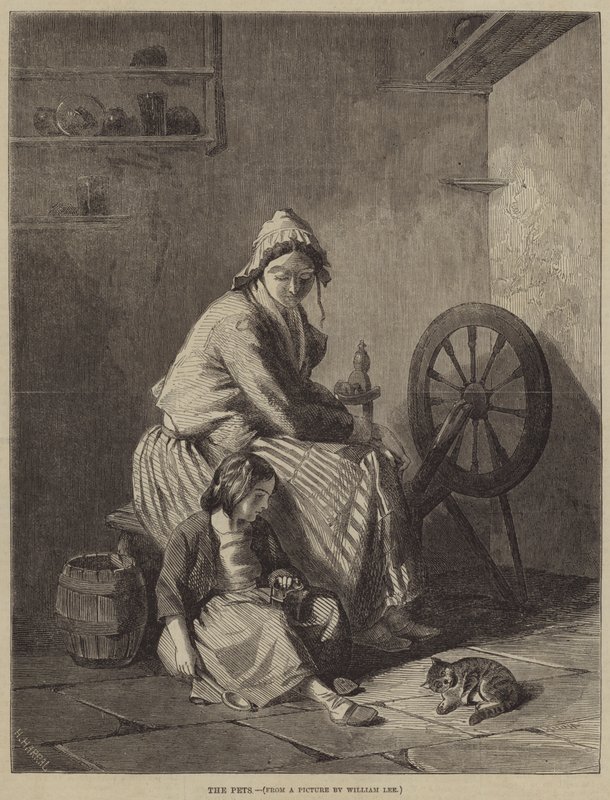 Kjæledyrene av William Lee