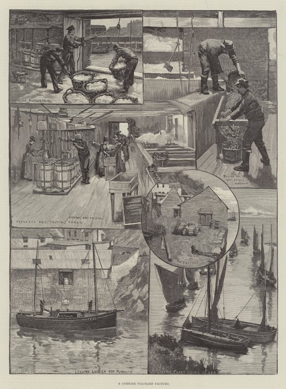En Cornish Pilchard-fabrikk av William Mouat Loudan