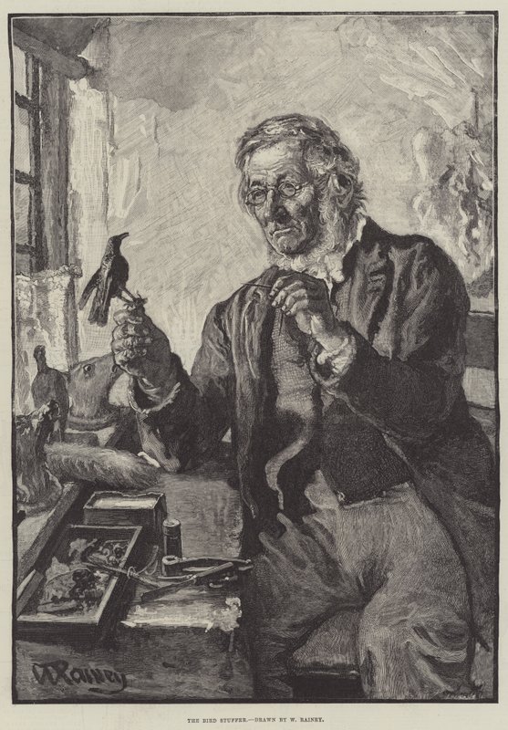 Fuglestopperen av William Rainey