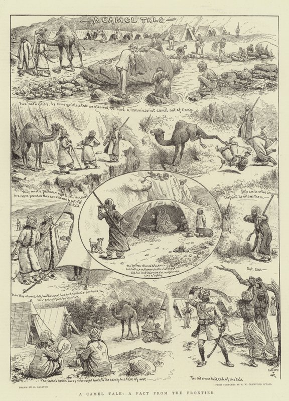En kamelhistorie, et faktum fra grensen av William Ralston