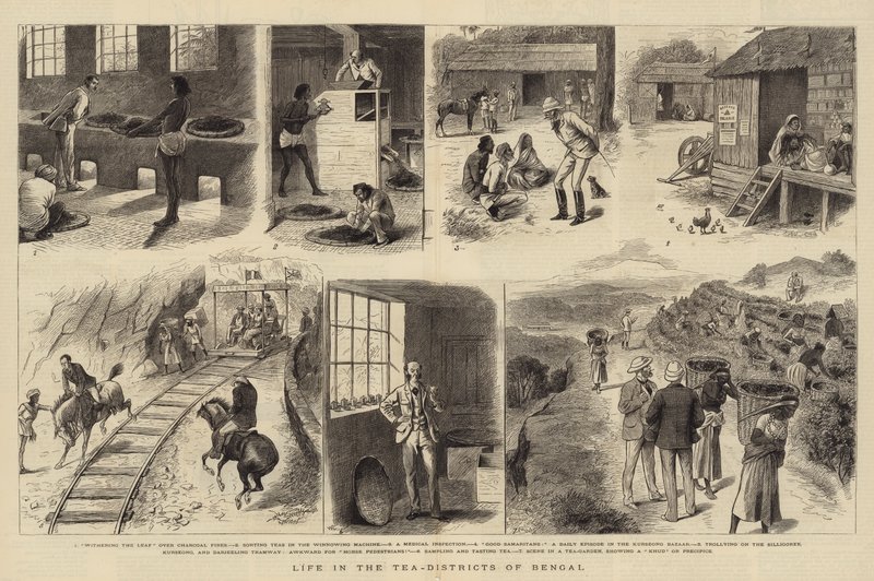Livet i te-distriktene i Bengal av William Ralston