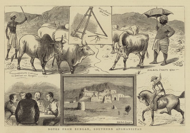 Notater fra Sungan, Sør-Afghanistan av William Ralston