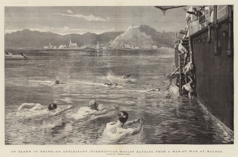 En alarm av hai, et ubehagelig avbrudd mens du bader fra en krigsmann i Malaga av William Small