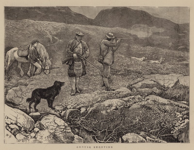 Rypeskyting av William Small
