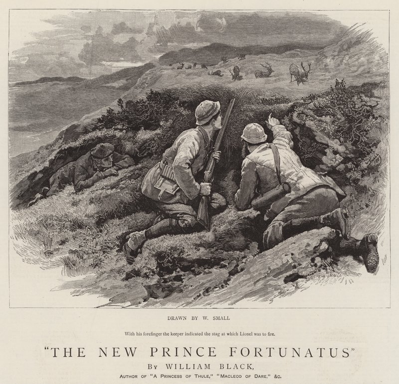 Den nye prinsen Fortunatus av William Small