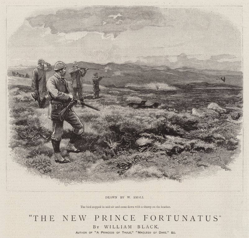 Den nye prinsen Fortunatus av William Small
