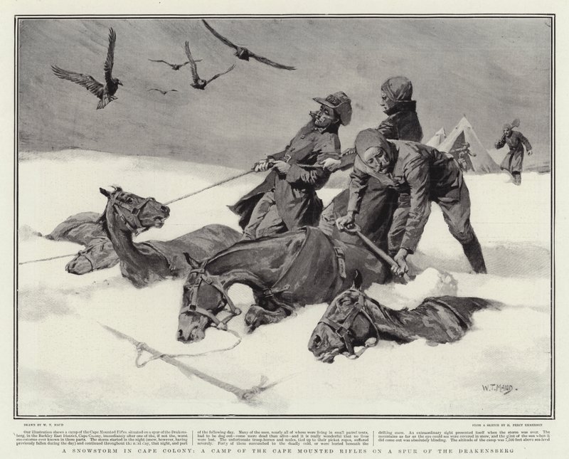 En snøstorm i Cape Colony, en leir av Cape Mounted Rifles på en spor av Drakensberg av William T. Maud