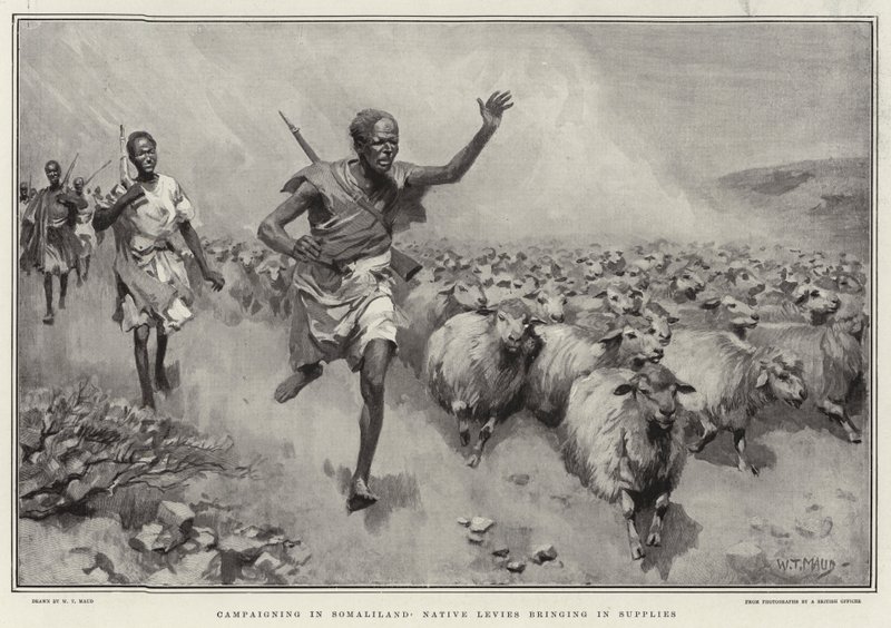 Kampanjer i Somaliland Native Levies henter inn forsyninger av William T. Maud