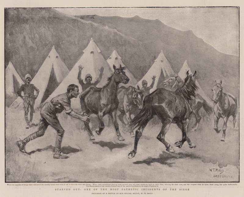 Starved Out, en av de mest patetiske hendelsene under beleiringen av William T. Maud
