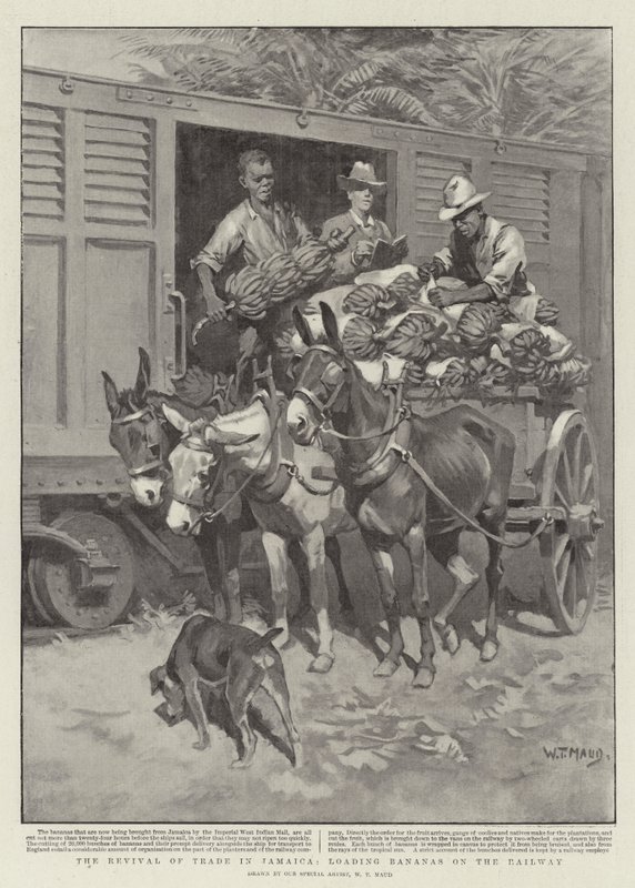 The Revival of Trade in Jamaica, lasting bananer on the Railway av William T. Maud