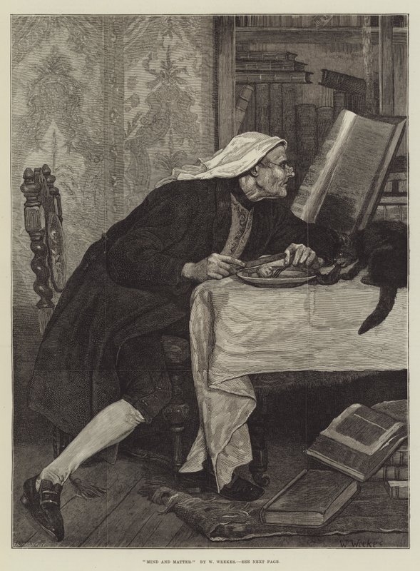 Sinn og materie av William Weekes