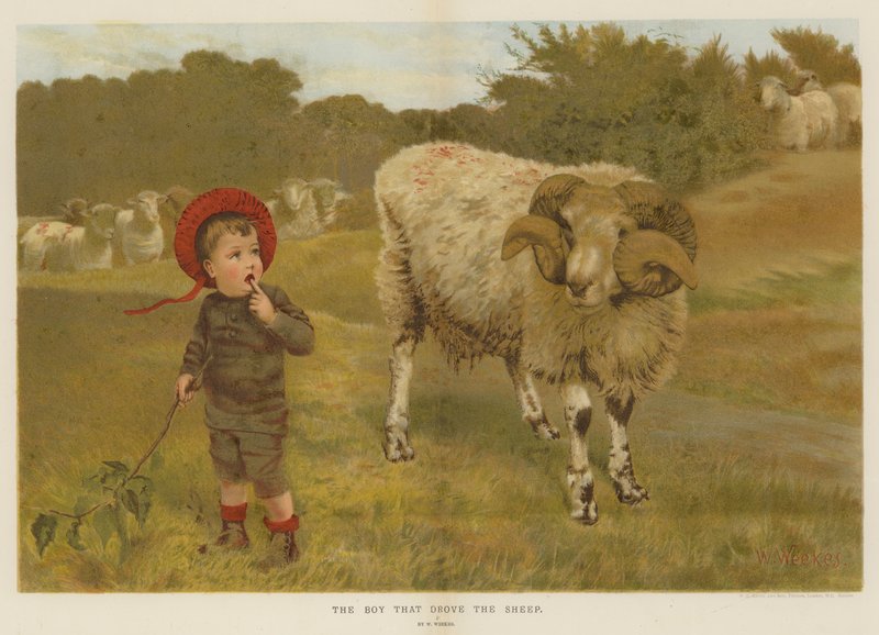 Gutten som drev sauene (chromolitho) av William Weekes