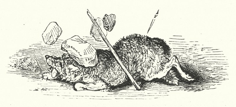 Death of the Wolf (gravering) av William (after) Harvey