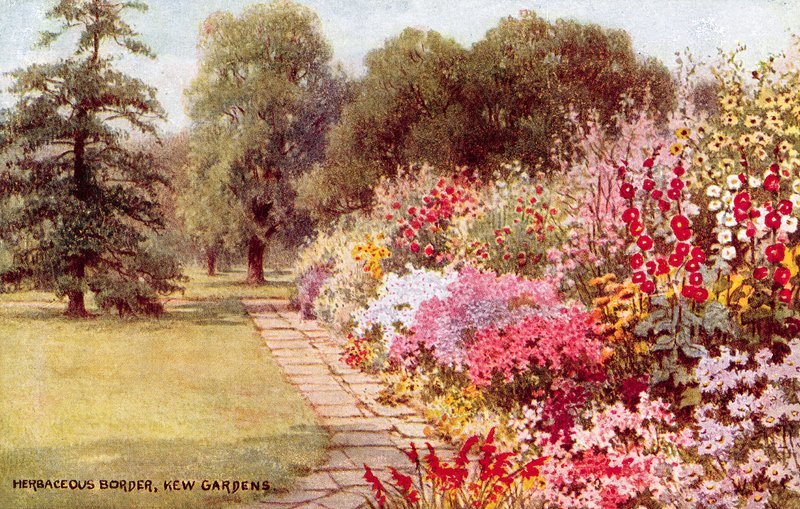 Urteaktig grense, Kew Gardens av William Affleck Carruthers