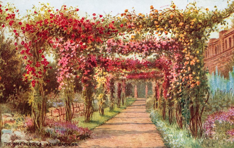 Rose Pergola, Kew Gardens av William Affleck Carruthers