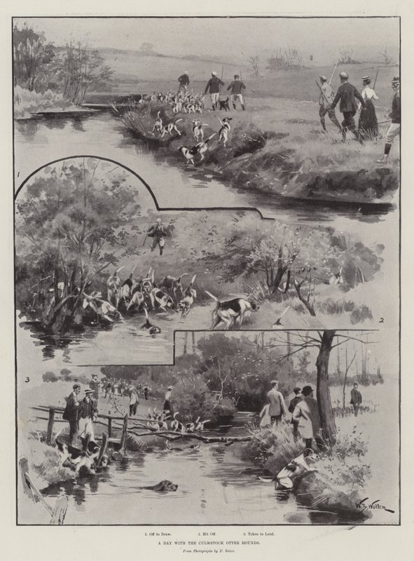 En dag med Culmstock Otter Hounds av William Barnes Wollen