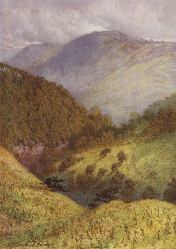 Ser nedover Chee Dale, High Tor i det fjerne av William Biscombe Gardner