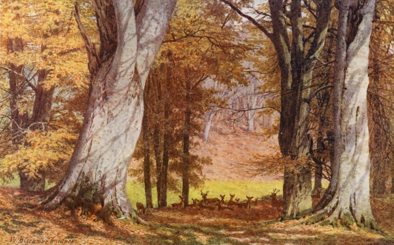  av William Biscombe Gardner
