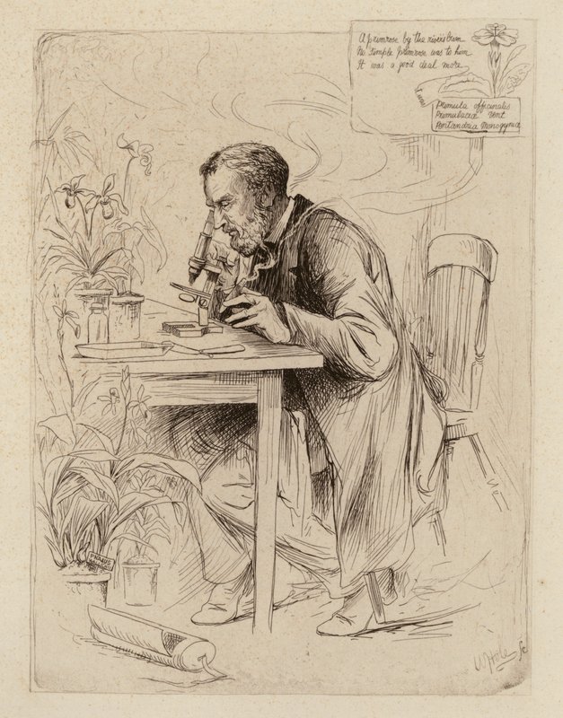  av William Brassey (after) Hole