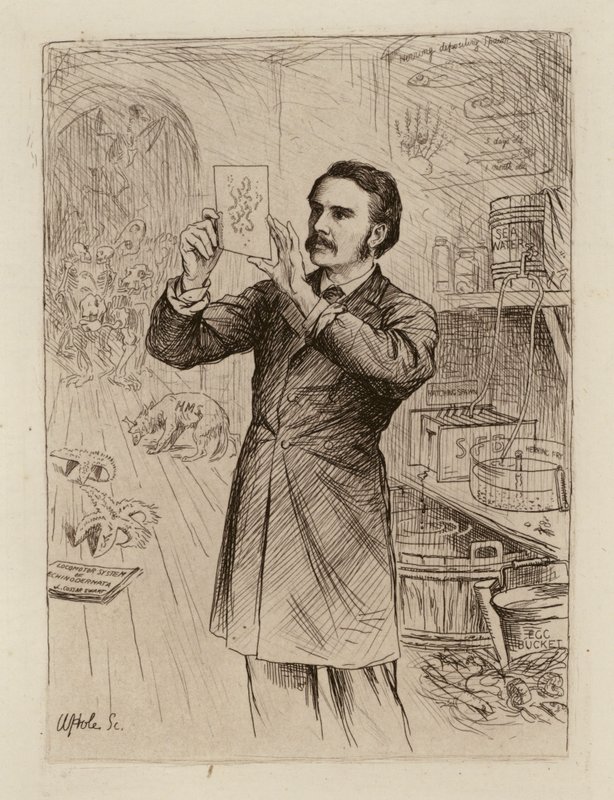  av William Brassey (after) Hole