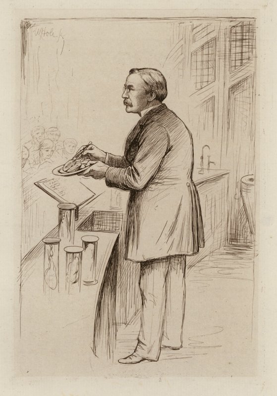  av William Brassey (after) Hole